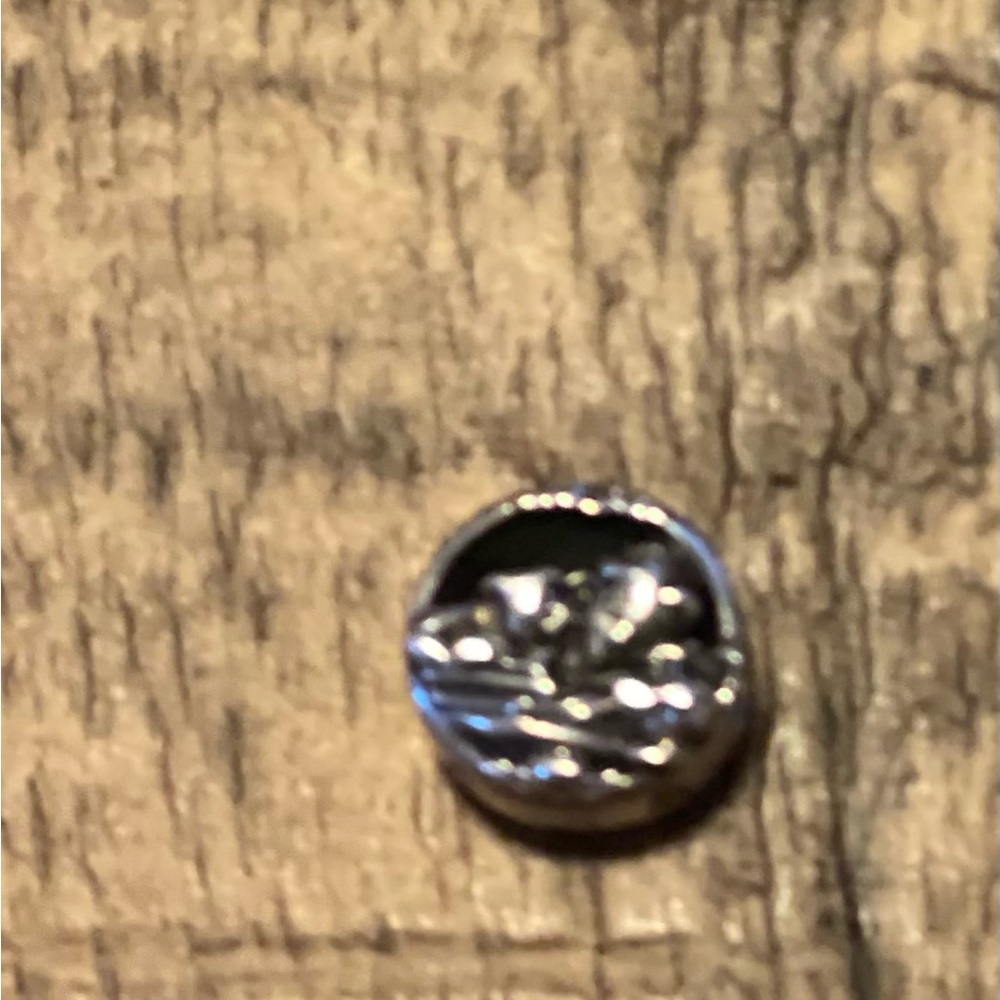 Beauty And The Beast Pandora Charm - image 2
